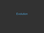 Evolution_PPT