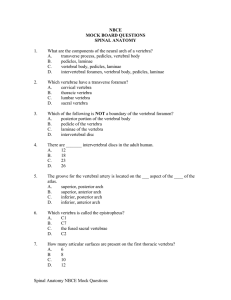 NBCE MOCK BOARD QUESTIONS SPINAL ANATOMY 1. What are