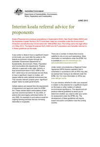 Interim koala referral advice for proponents