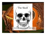 The Skull - Sinoe Medical Association