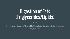Digestion of Fats (Triglycerides/Lipids)