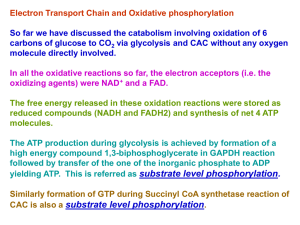 Electron Transport Chain and Oxidative phosphorylation So far we