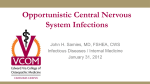 Opportunistic Central Nervous System Infections