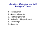 Genetics, Molecular and Cell Biology of Yeast