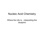 Nucleic Acid Chemistry