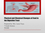 Physical and Chemical Changes of Food in the Digestive Tract