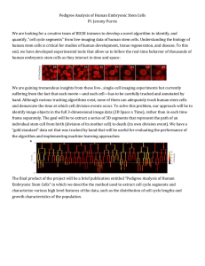 Pedigree Analysis of Human Embryonic Stem Cells