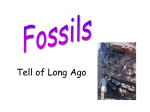Powerpoint: Fossils Tell of Long Ago