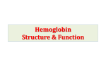 Hemoglobin