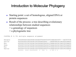 introduction to molecular phylogeny