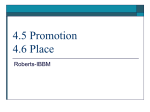 4.2 Promotion and Place PPT