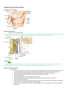 anterior chest wall and breast anatomy