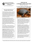 Species Of Conservation Concern Fact Sheet By NHESP