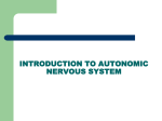 The autonomic nervous system (ANS)