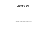 Lecture 10