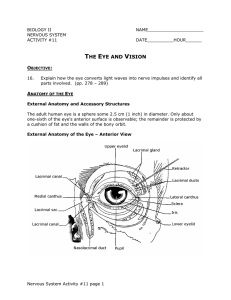 the eye and vision