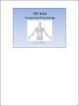 PEP 3250 Anatomical Kinesiology
