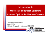 Introduction to Wholesale and Direct Marketing Channel Options for