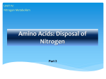 Ch19.3. Amino-acids-disposal-of