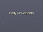 Body Movements