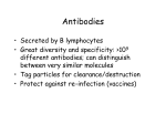 Antibodies - UCSF Immunology Program