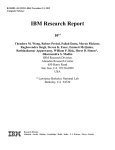 IBM Research Report - Dharmendra S Modha`s Brain