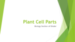 Parts of a Plant Cell - deercreekintermediate.org