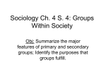 Sociology Ch. 4 S. 4: Groups Within Society