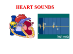 first heart sound - Easymed.club