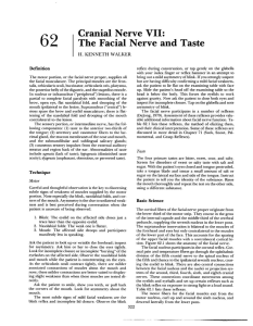 62 Cranial Nerve VII: The Facial Nerve And Taste