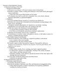 Diseases of the Respiratory System Notes