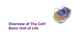 Chapter 7. The Cell: Basic Unit of Life