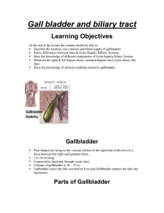 Gall bladder and biliary tract
