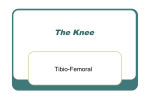 The Knee