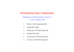 Self Organizing Maps: Fundamentals