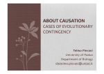 About causation cases of evolutionary