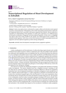 Transcriptional Regulation of Heart Development in Zebrafish