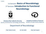 1. Semester Introduction to functional neurobiology