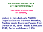 Nuclear Organization and Genomic Function