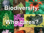 Biodiversity - Otterville R