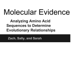 Analyzing Amino Acid Sequences to Determine