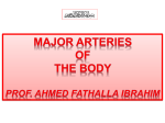 2-MAJOR ARTERIES OF BODY-PROF AHMED