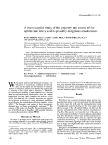 A microsurgical study of the anatomy and course of the ophthalmic