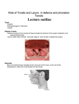 Role of Tonsils and Larynx in defence and phonation