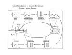 System Introduction to Sensory Physiology: Sensory- Motor