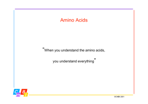 Amino acids, introduction