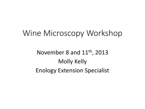 Wine Microscopy Workshop (PPT | 5MB)