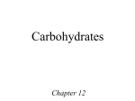 Carbohydrates