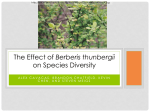 The Effect of Barberis thunbergii on Species Diversity