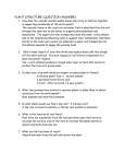 Plant Structure Questions Answers